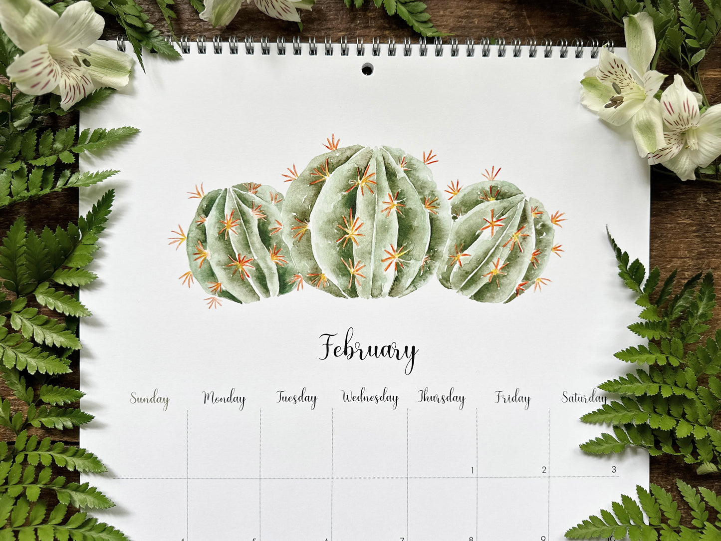 2024 Succulents & Cacti Calendar