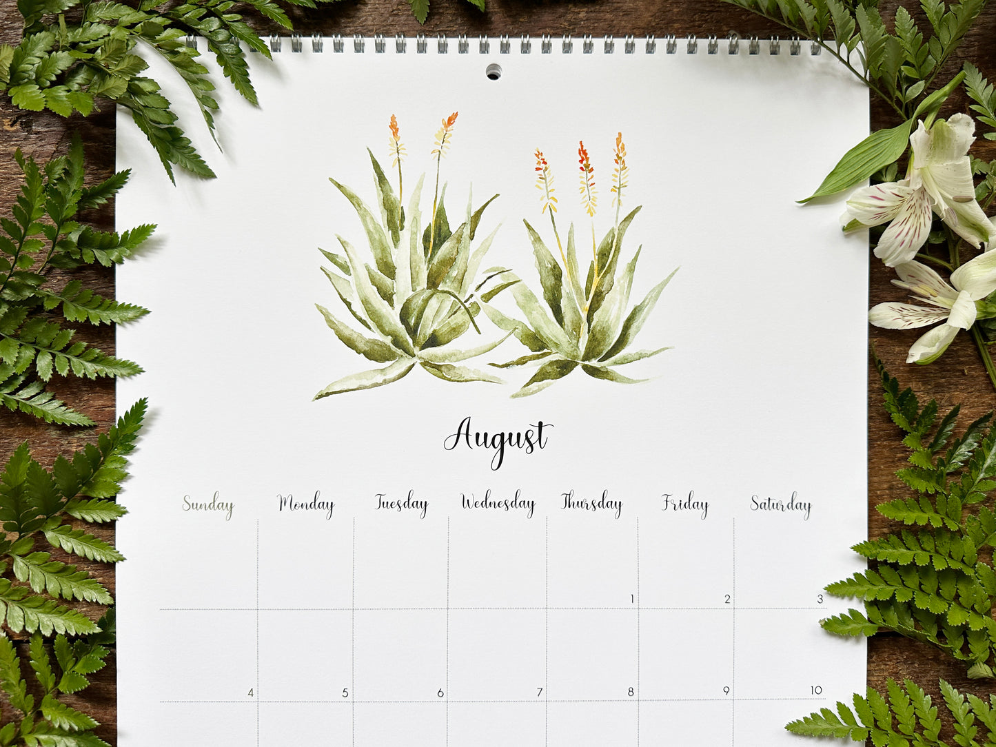 2024 Succulents & Cacti Calendar