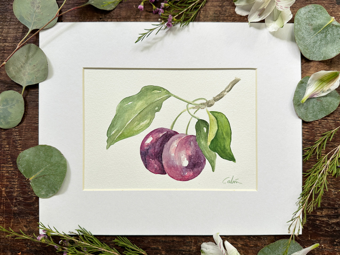 Plums Original