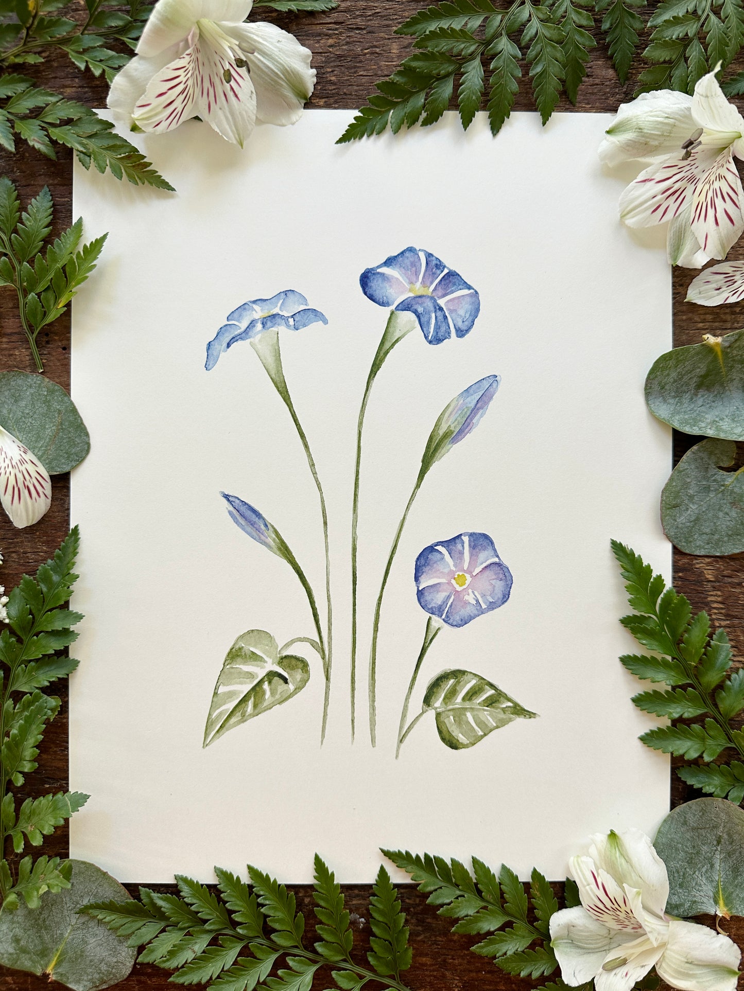 Bluebell Print