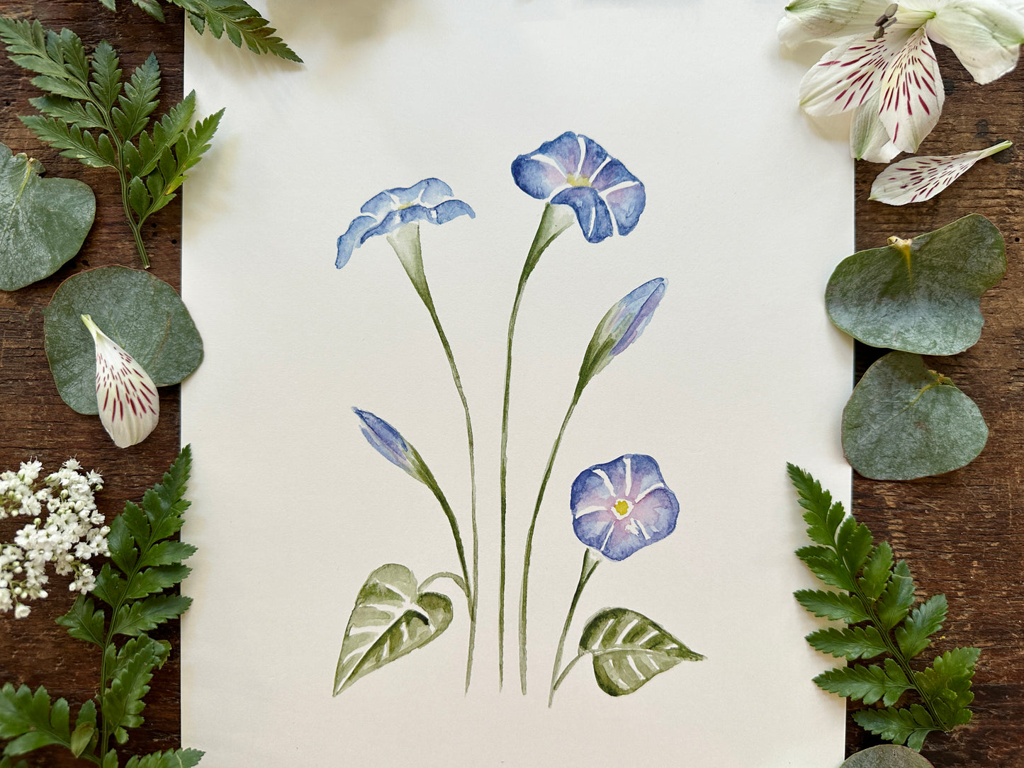 Bluebell Print