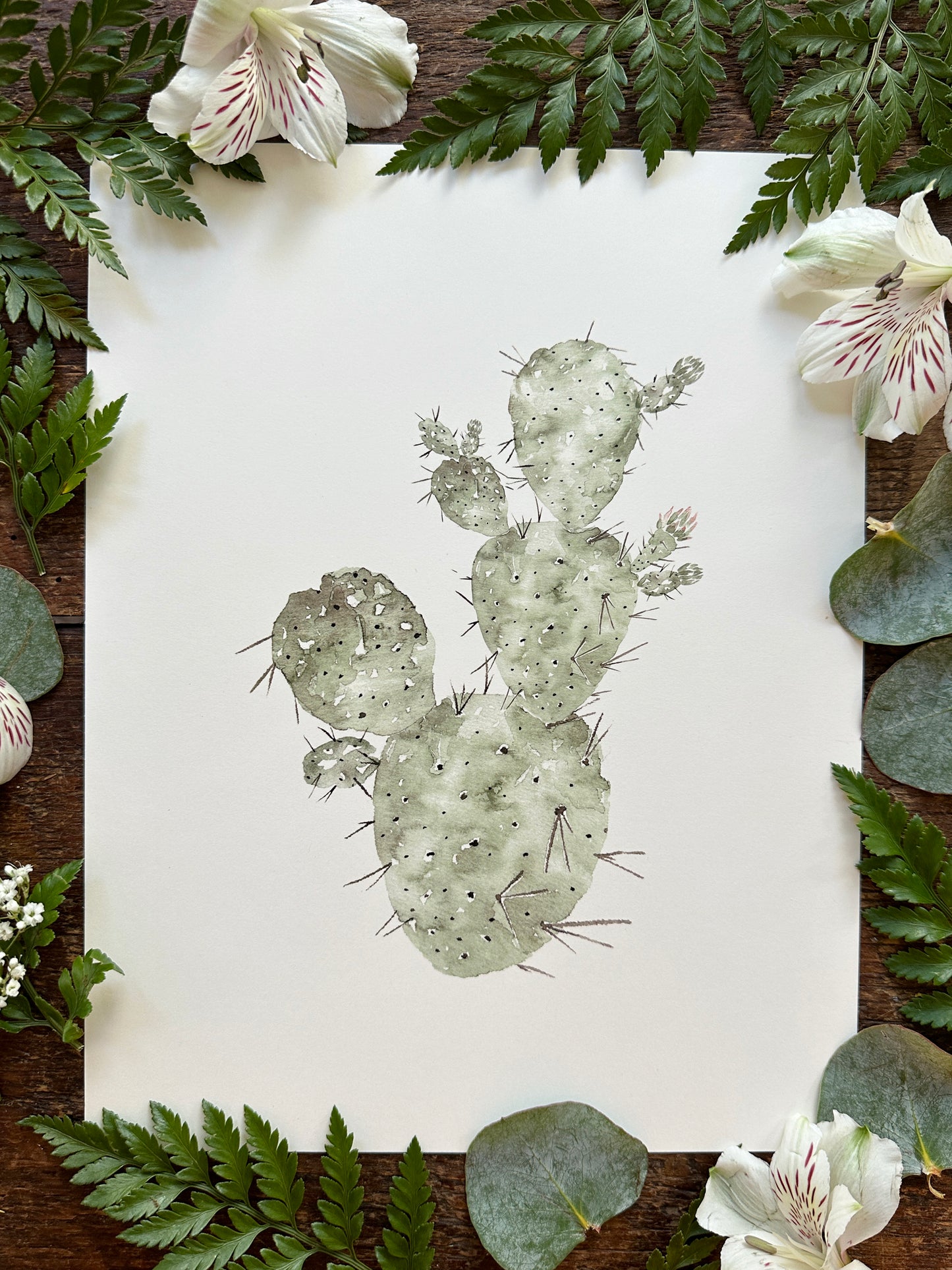 Prickly Pear Cactus Print