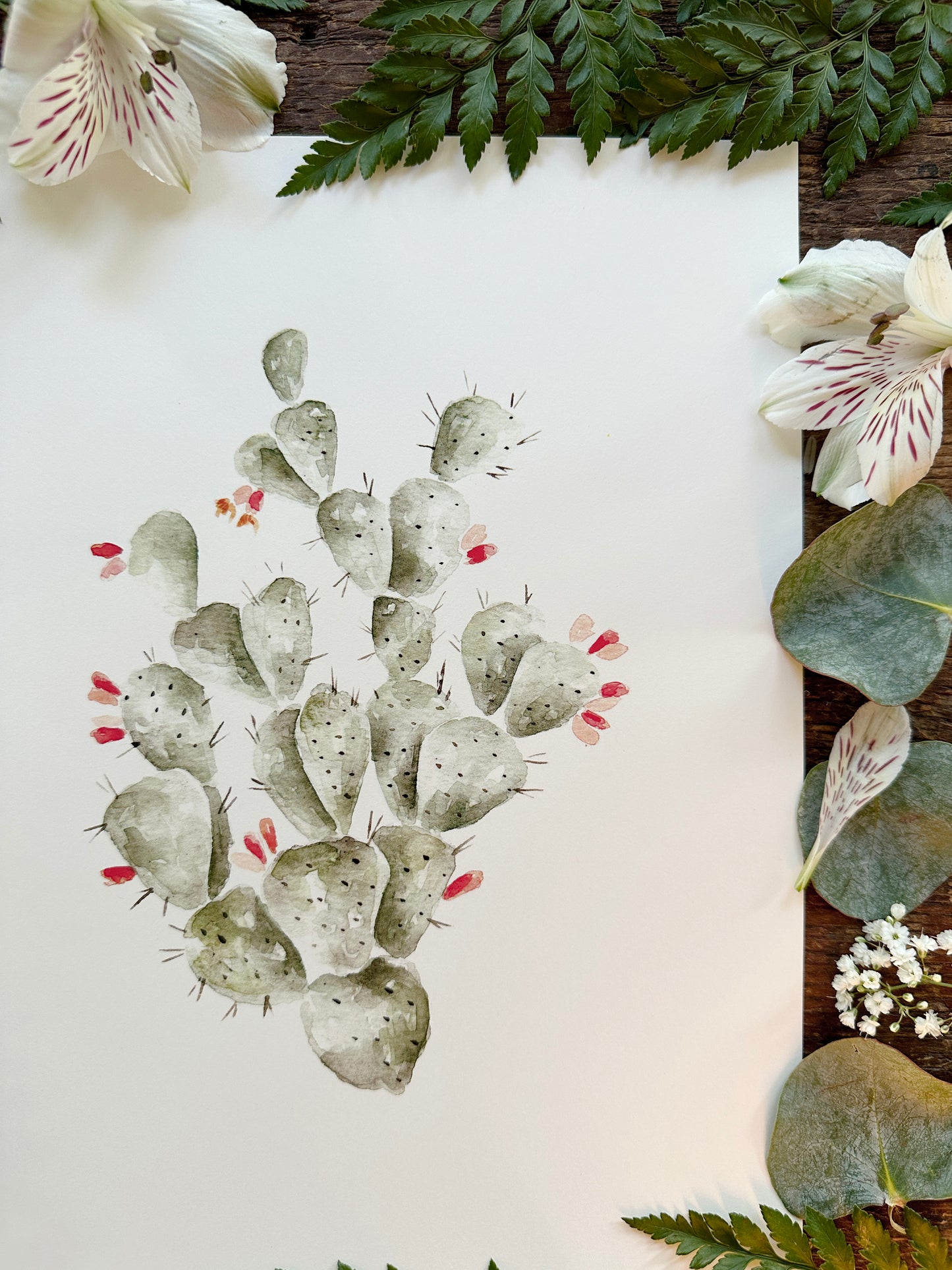 Prickly Fruit Cactus Print