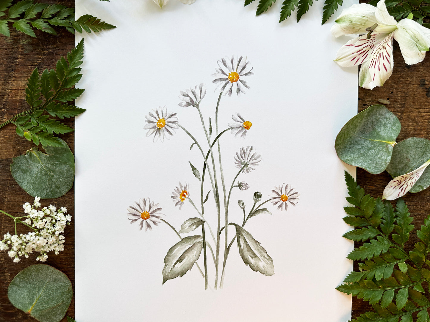 Daisies Print