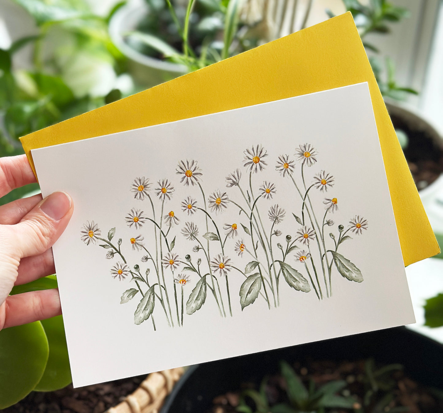 Daisies Greeting Card