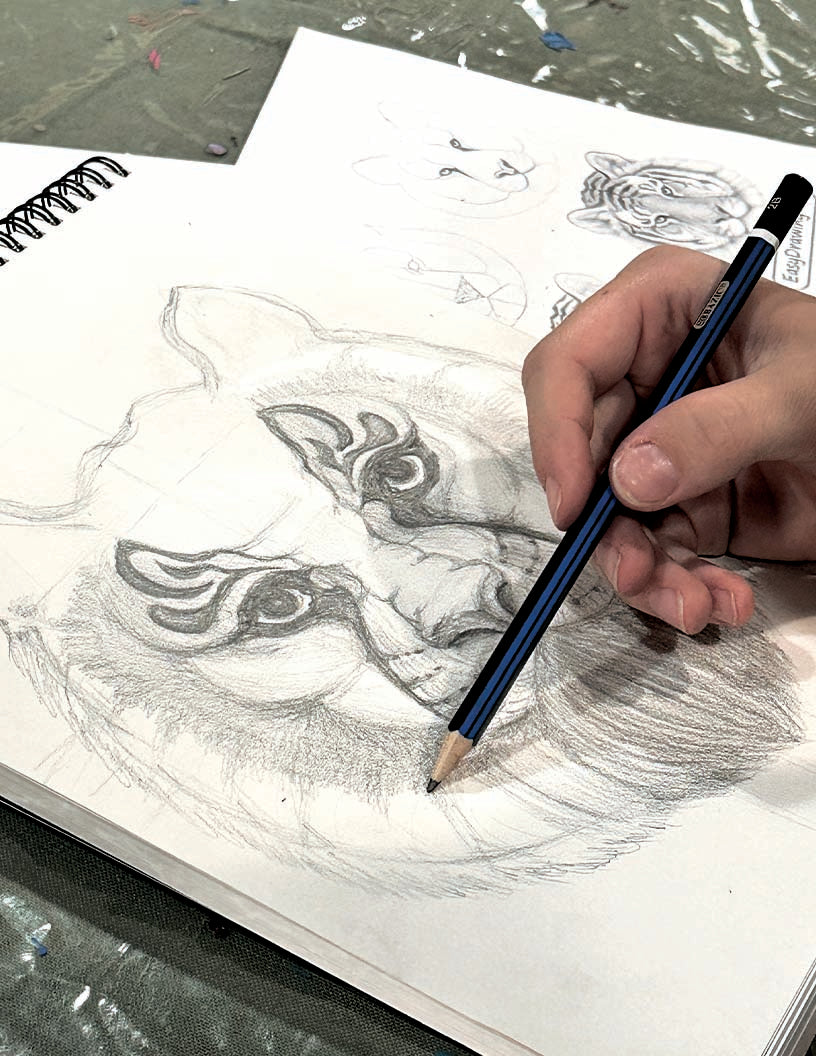 Adult Drawing for Beginners