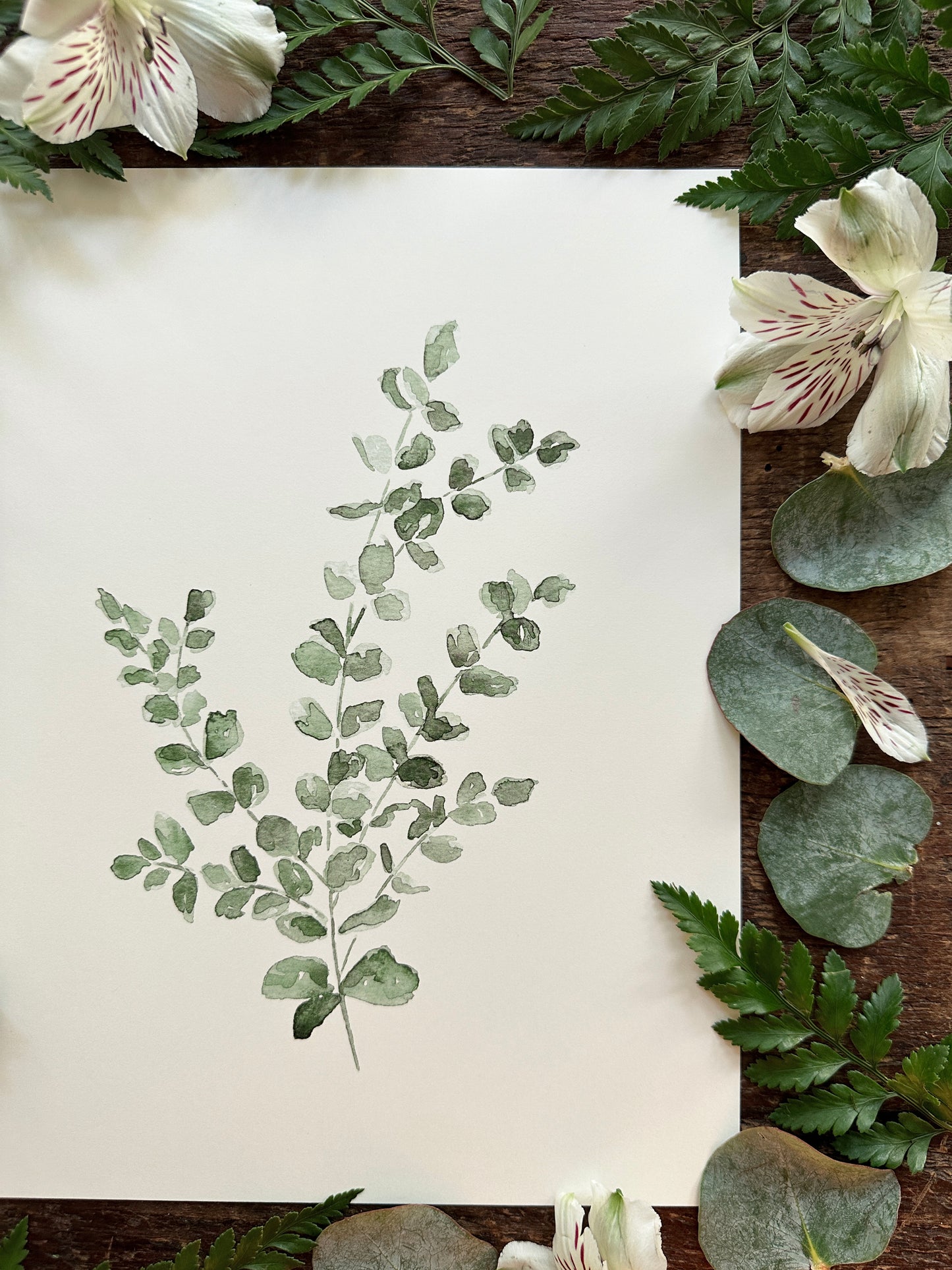 Eucalyptus Print