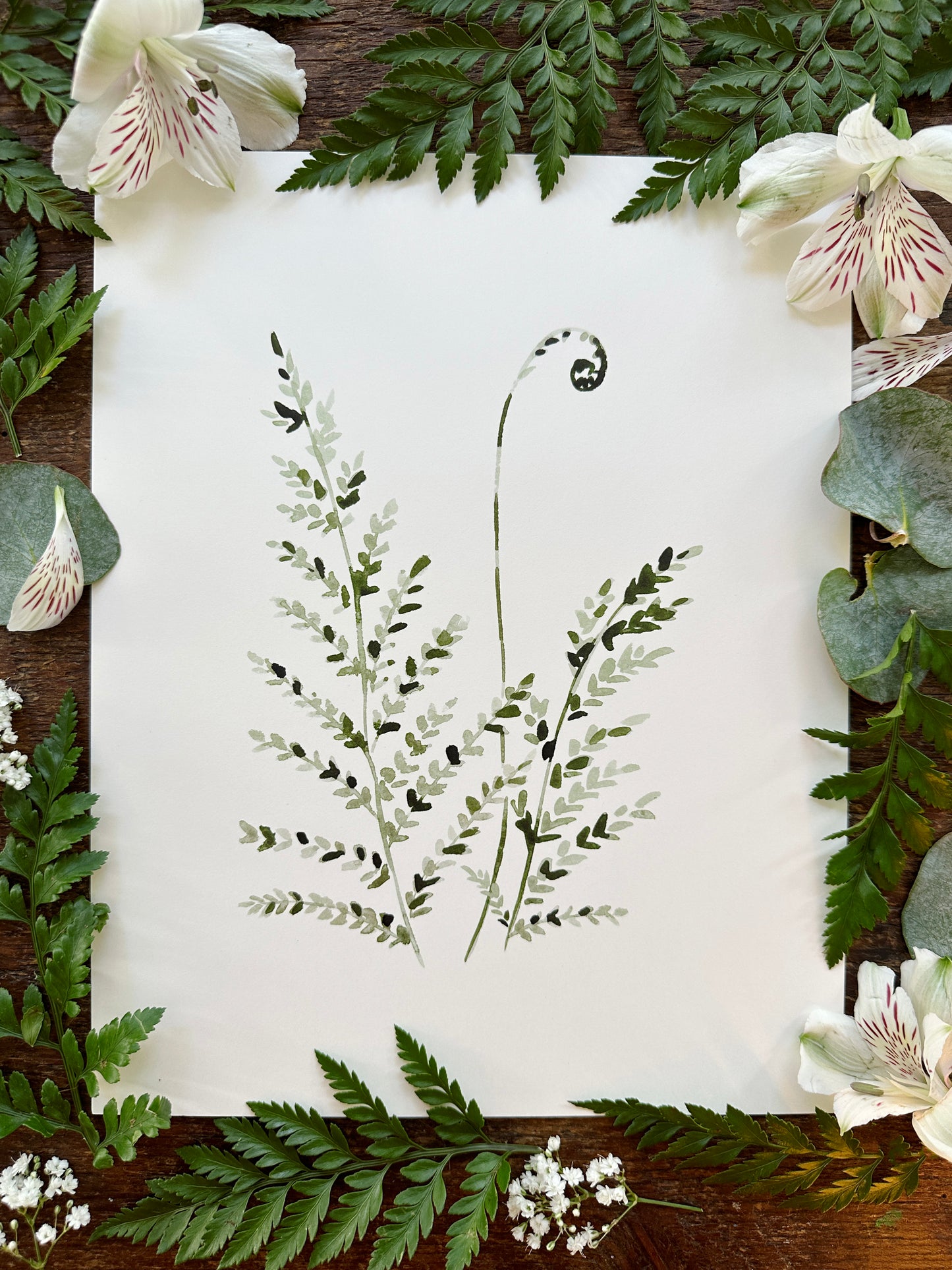 Common Fern Print