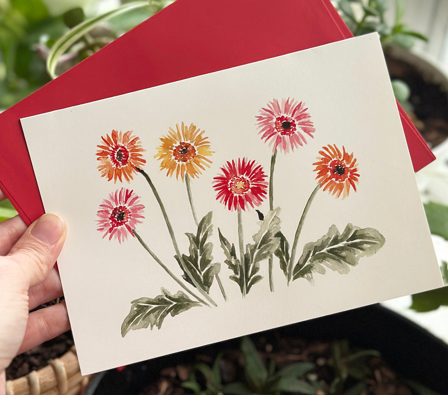 Gerbera Daisies Greeting Card