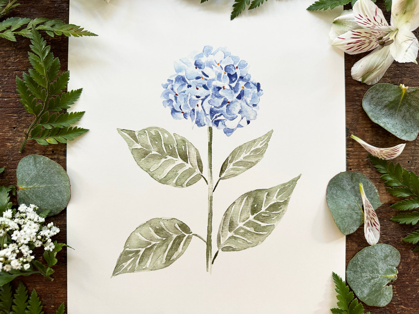 Hydrangea Print