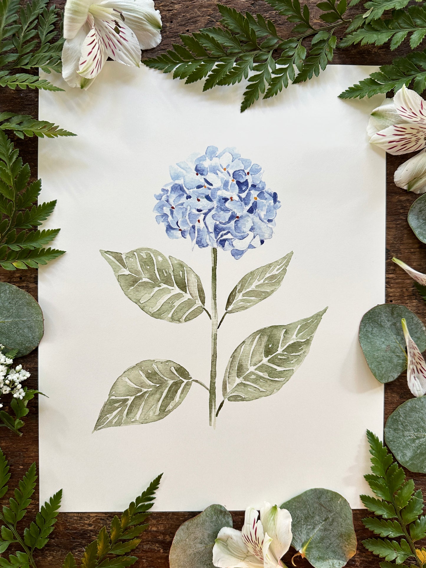 Hydrangea Print