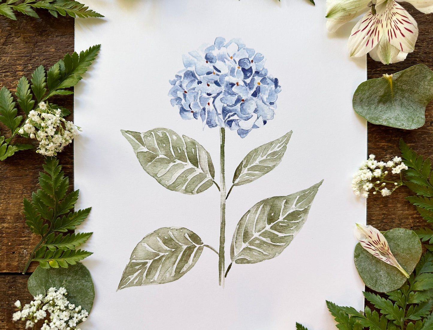 Hydrangea Print