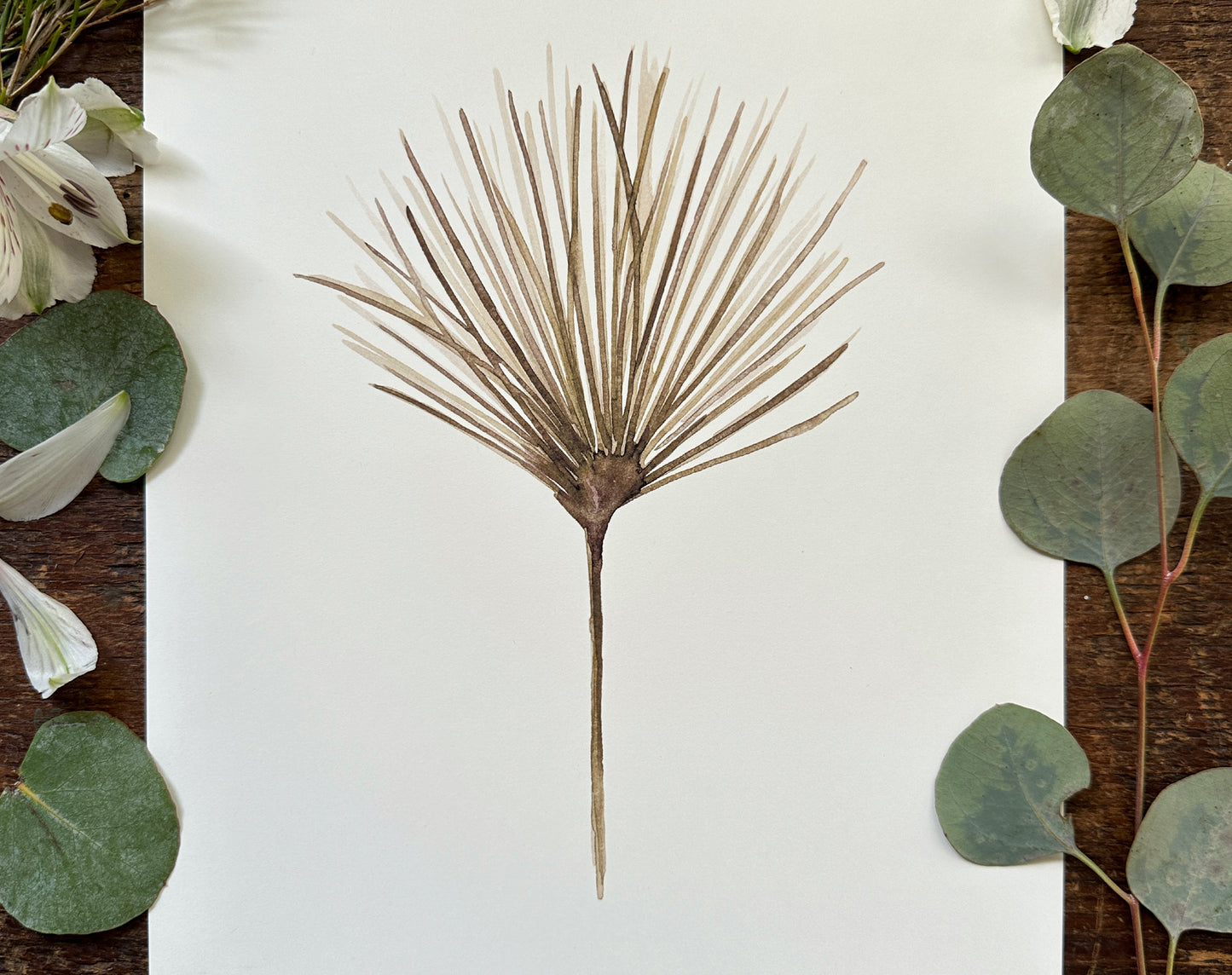 Dry Papyrus Print