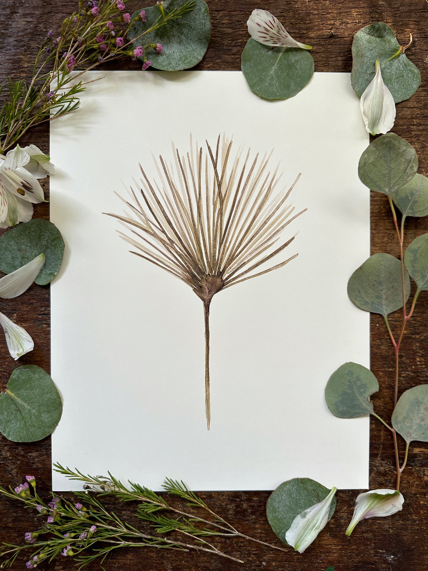 Dry Papyrus Print