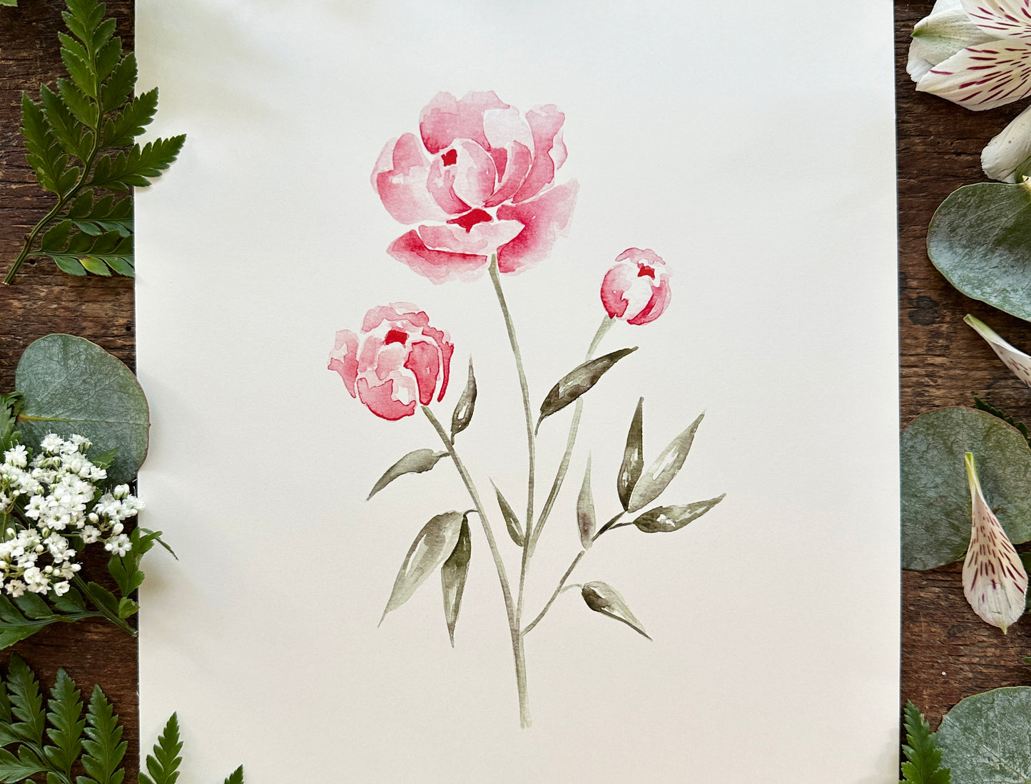 Peonies Print