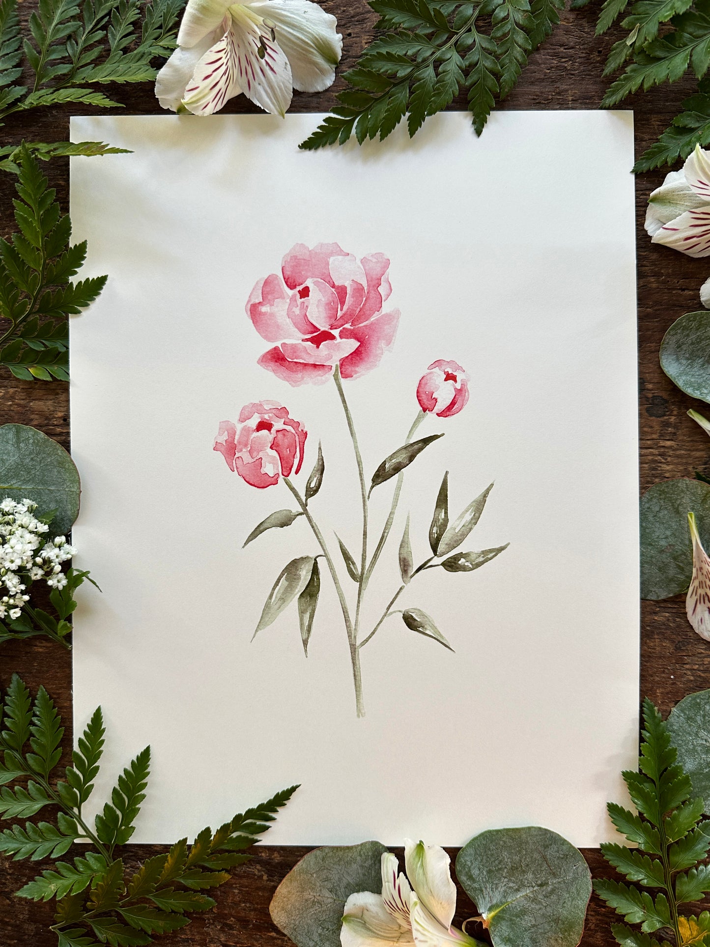 Peonies Print