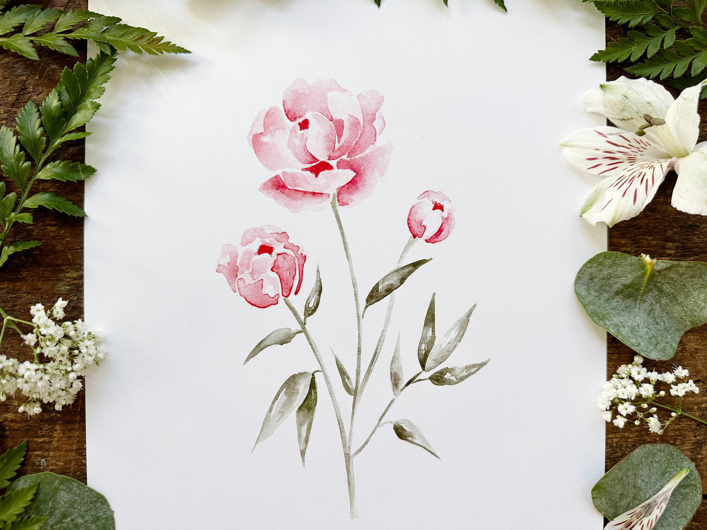 Peonies Print