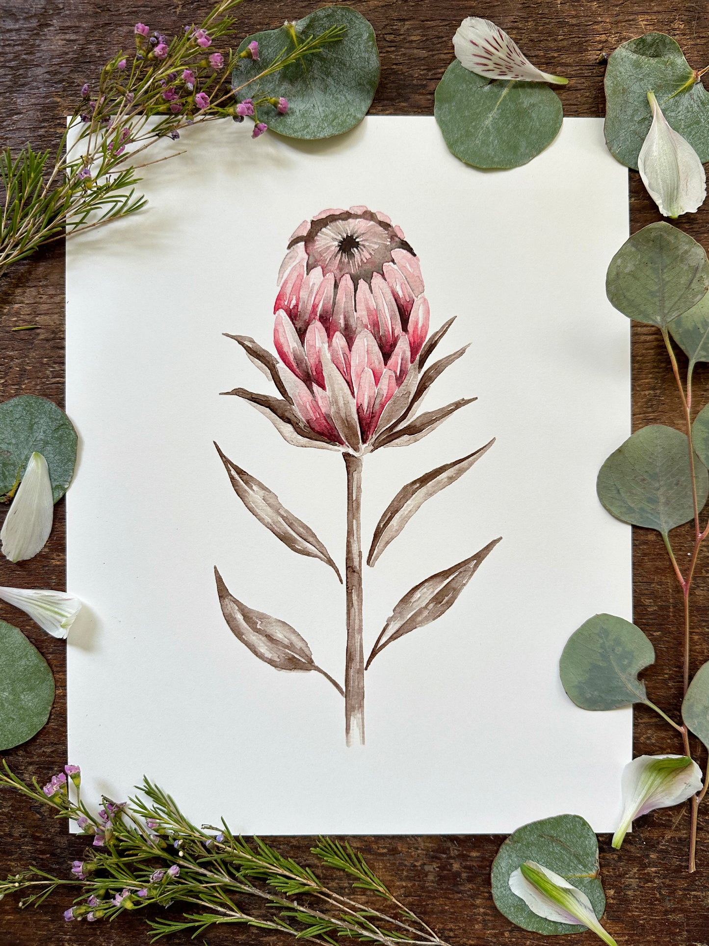 Protea Print