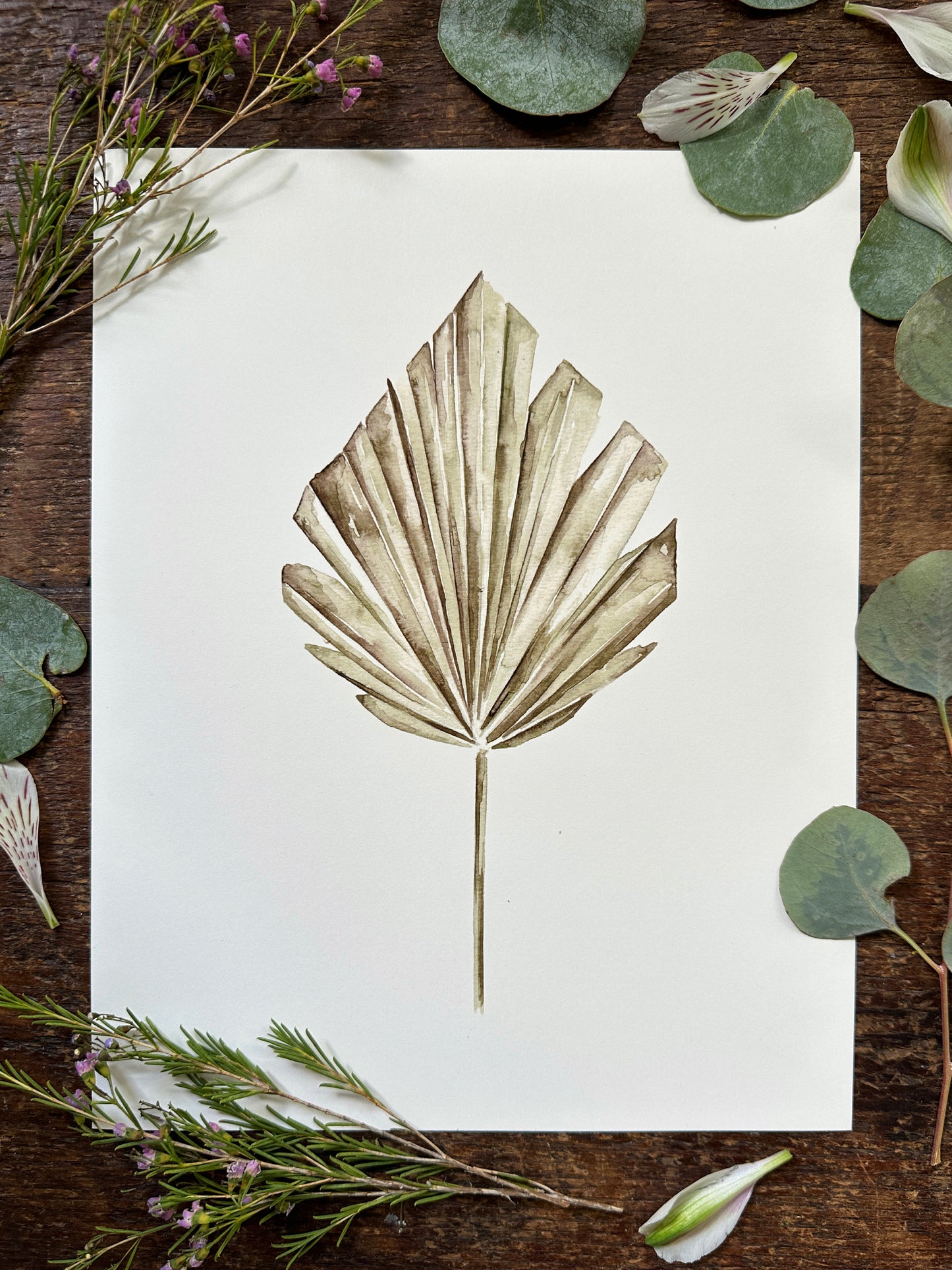 Toddy Palm Print