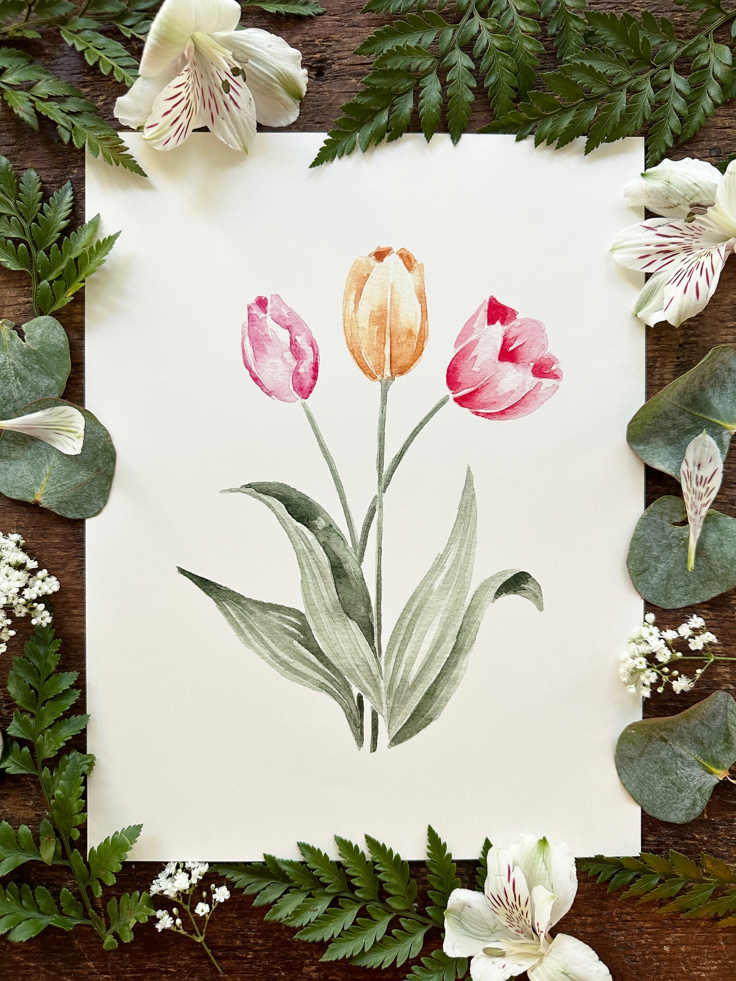 Tulip Print