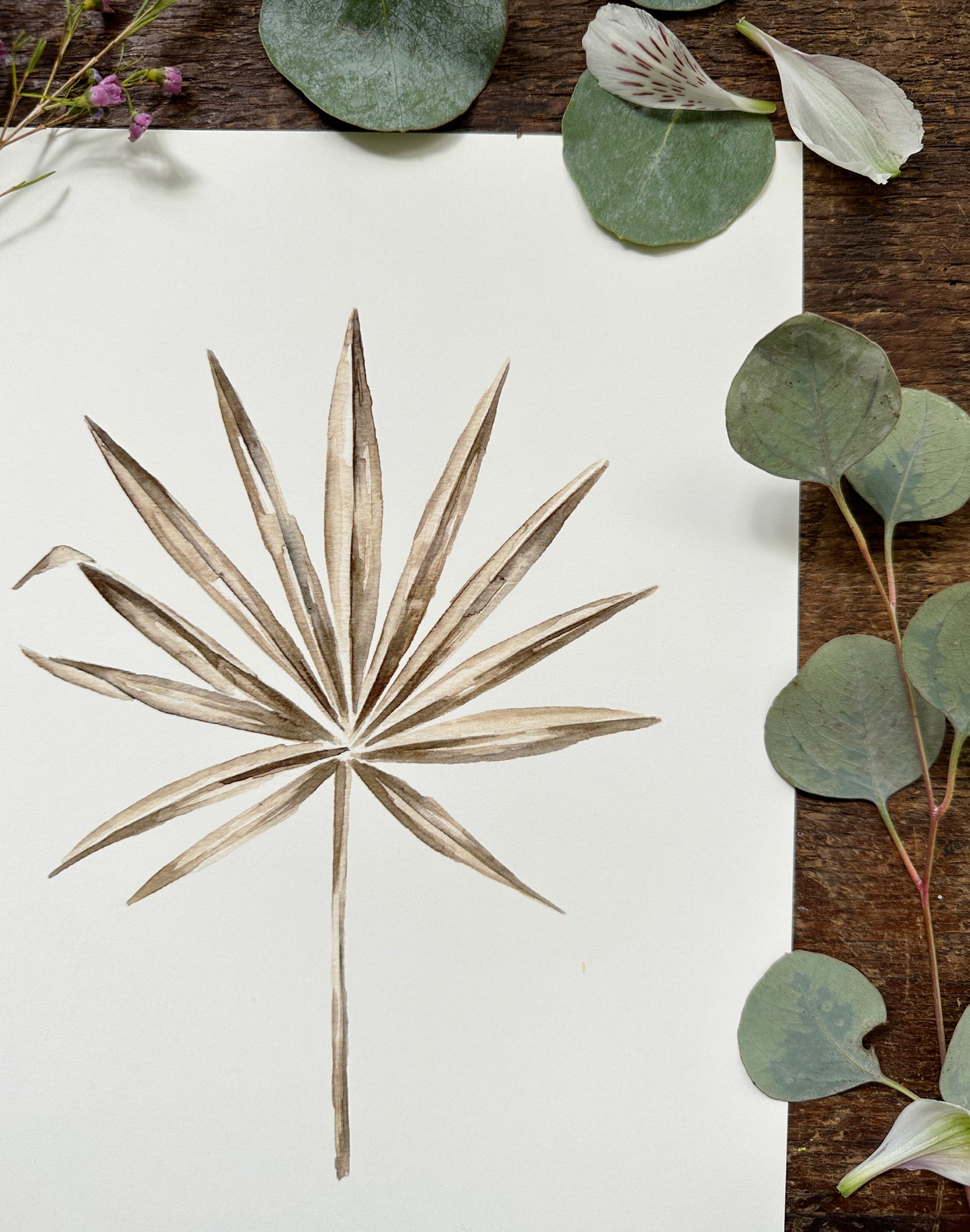 Washingtonia Print