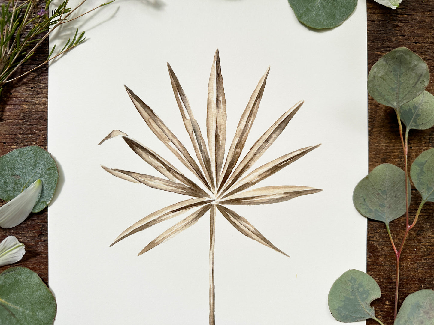 Washingtonia Print