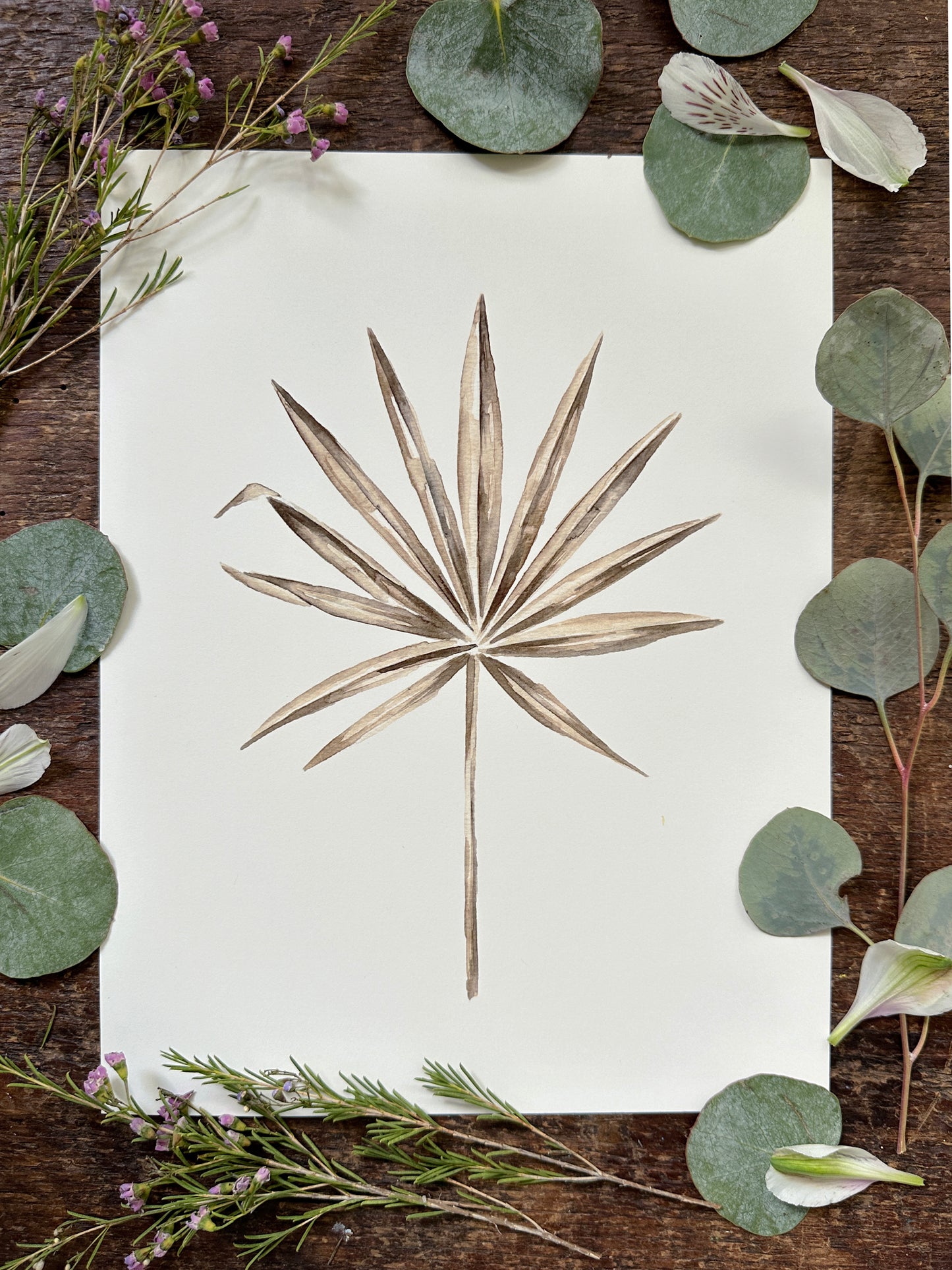 Washingtonia Print