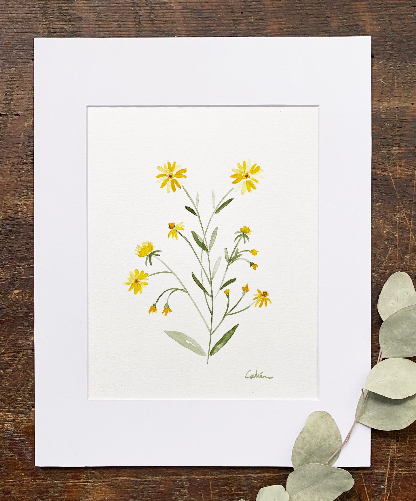 Yellow Aster Original