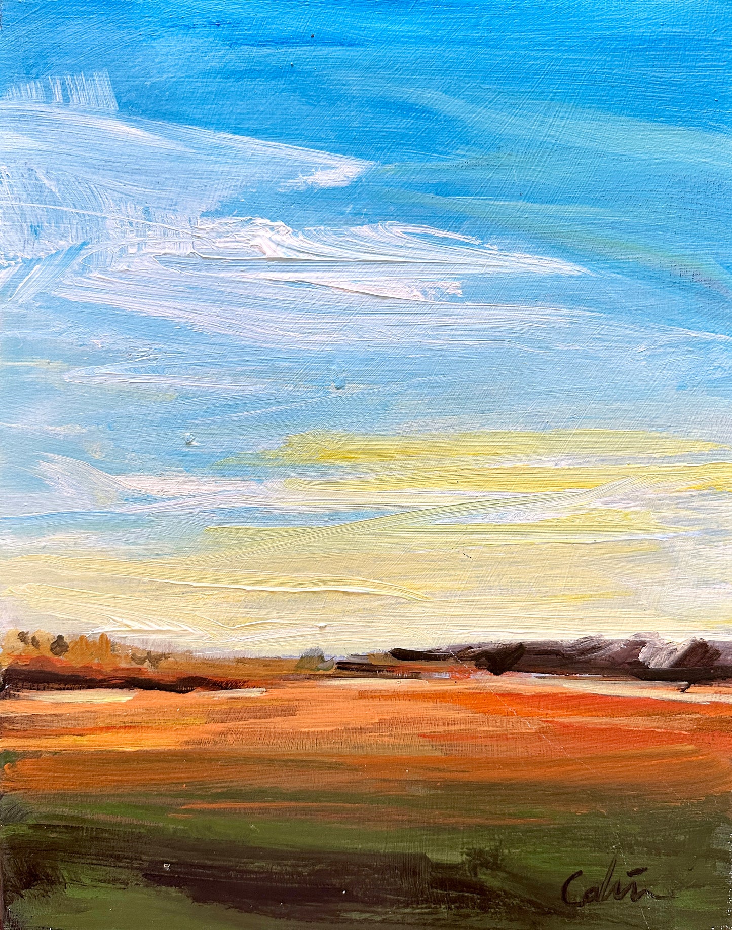 Mississippi Landscape I