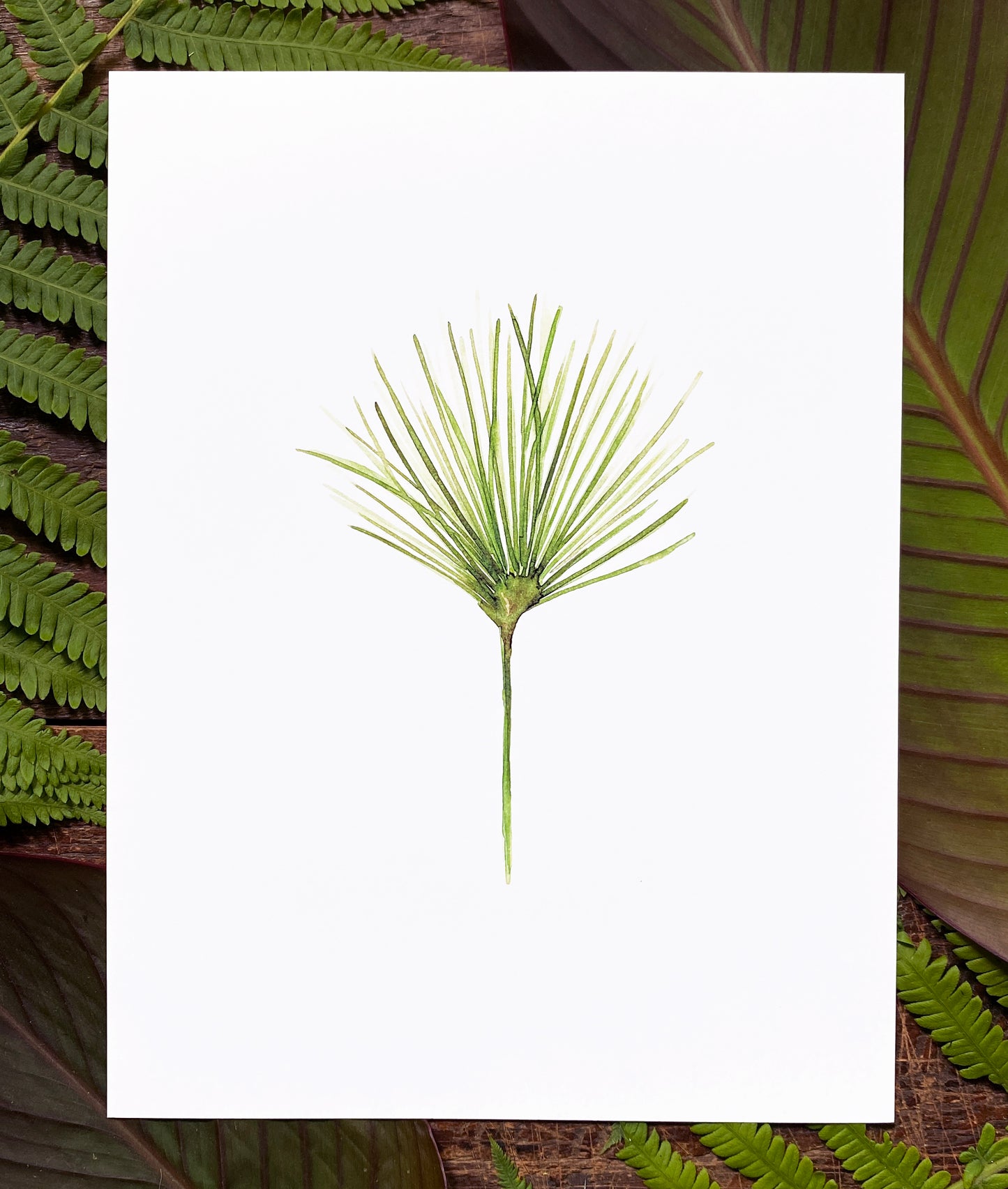 Papyrus Print