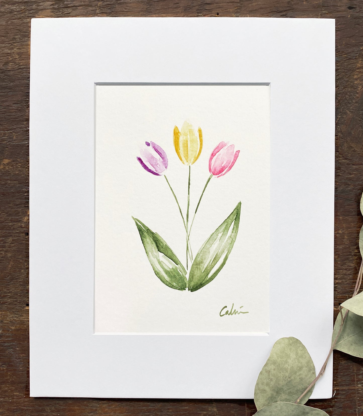 Tulips Original