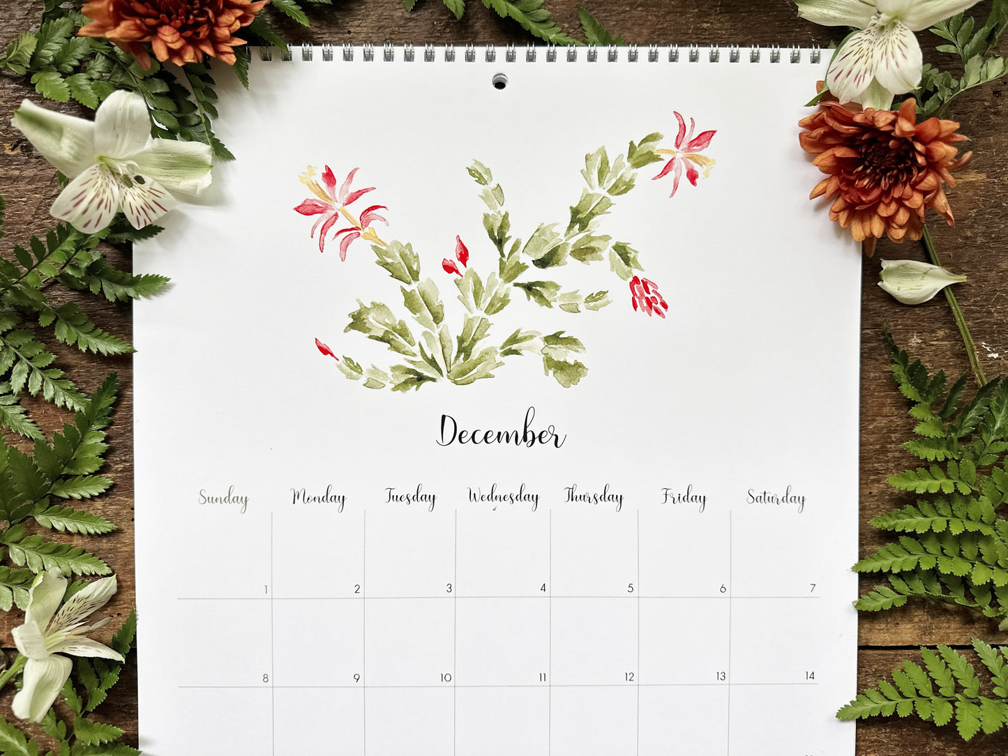 2024 Succulents & Cacti Calendar