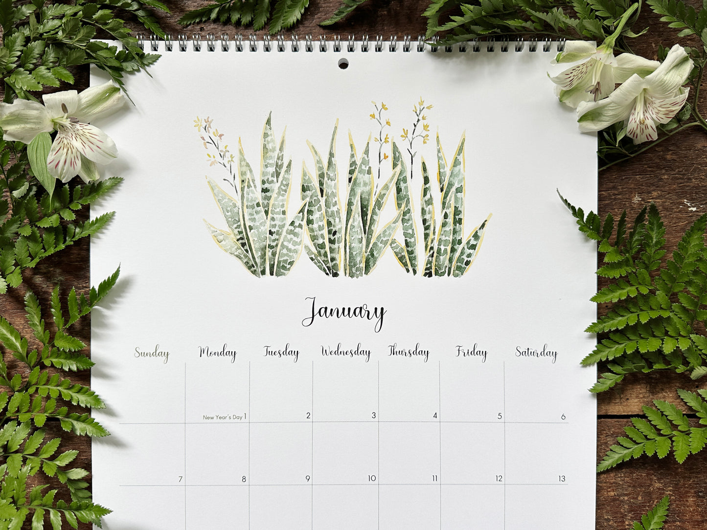 2024 Succulents & Cacti Calendar