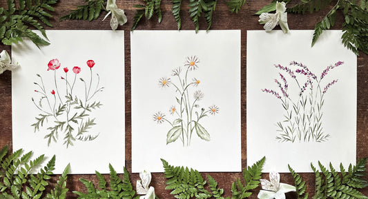 3 Botanical Prints
