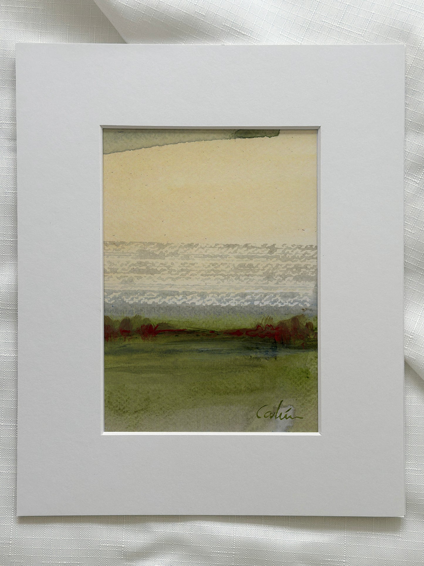 Echoes of the forest