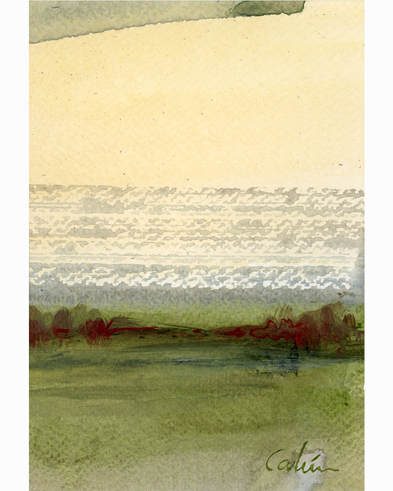 Echoes of the forest