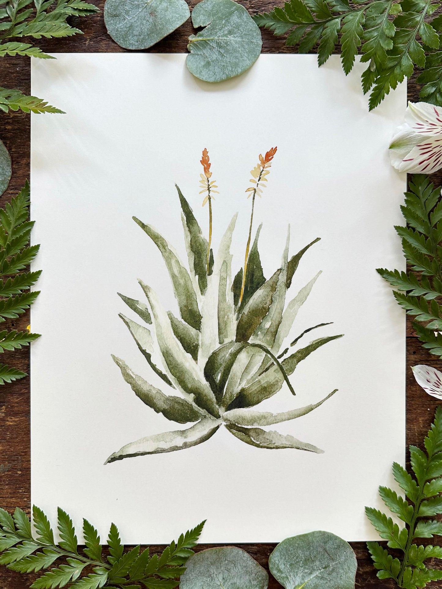 Aloe Vera Print