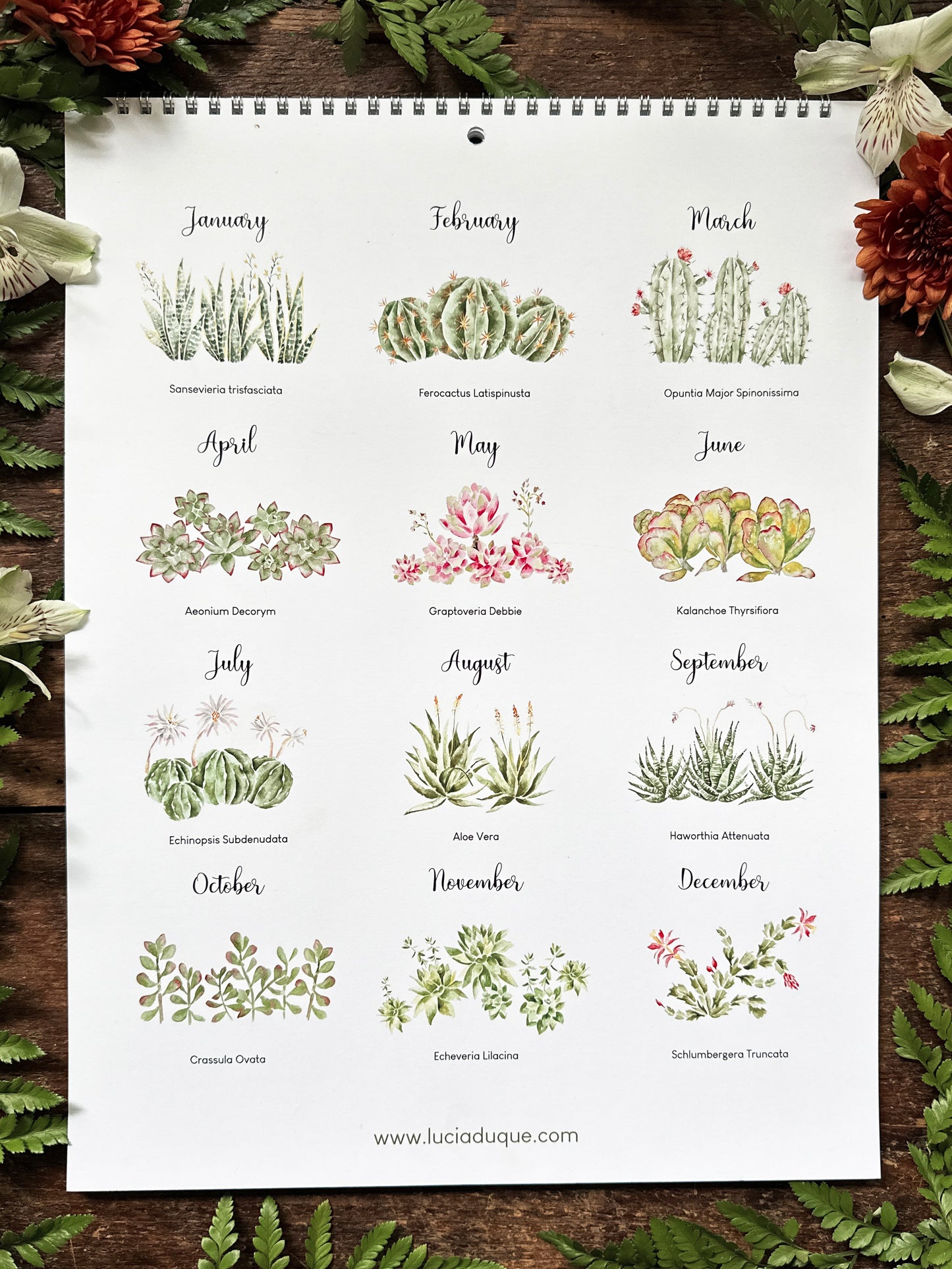 2024 Succulents & Cacti Calendar