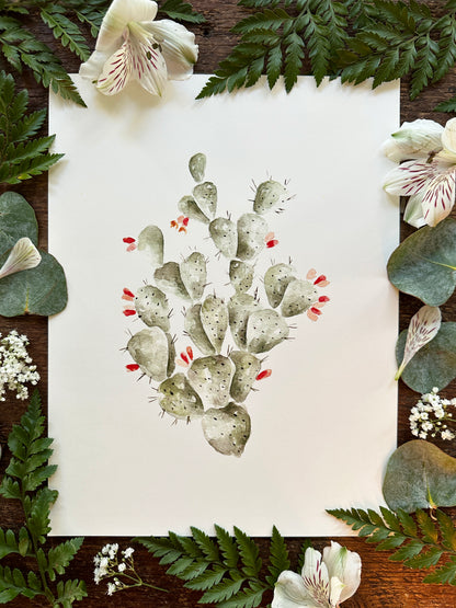 Prickly Fruit Cactus Print