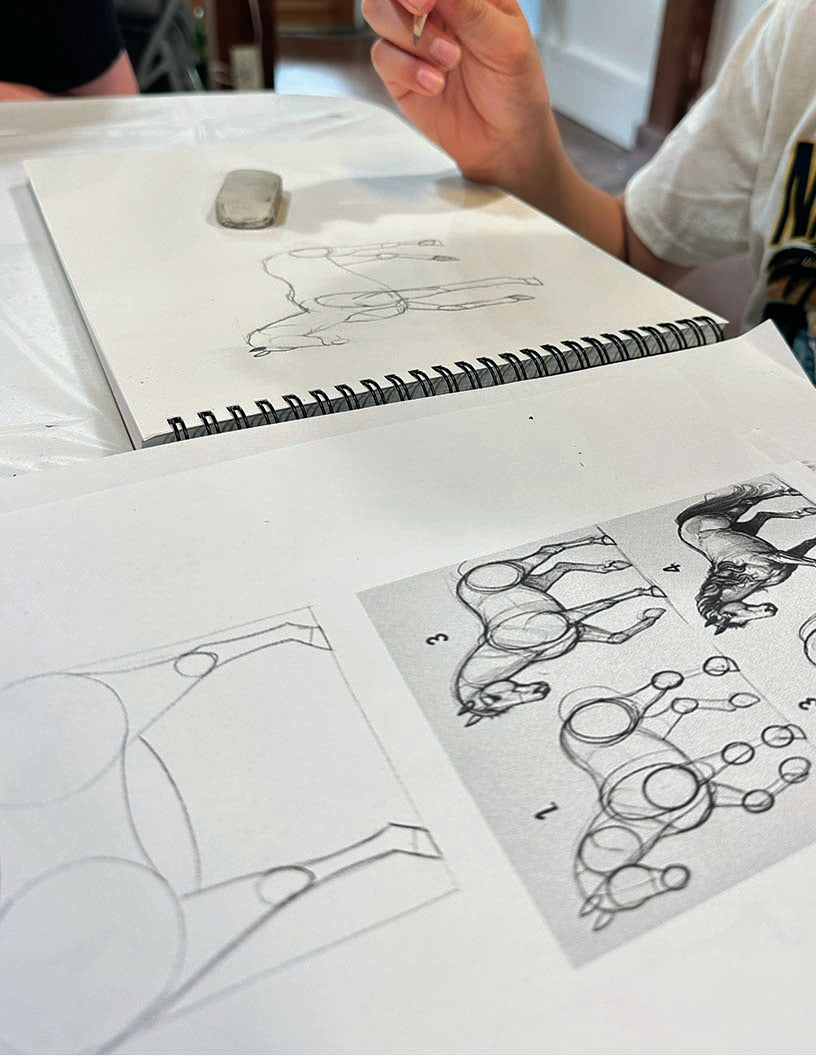 Adult Drawing for Beginners