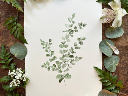 Eucalyptus Print