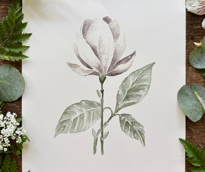 Magnolia  Print