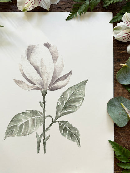 Magnolia  Print