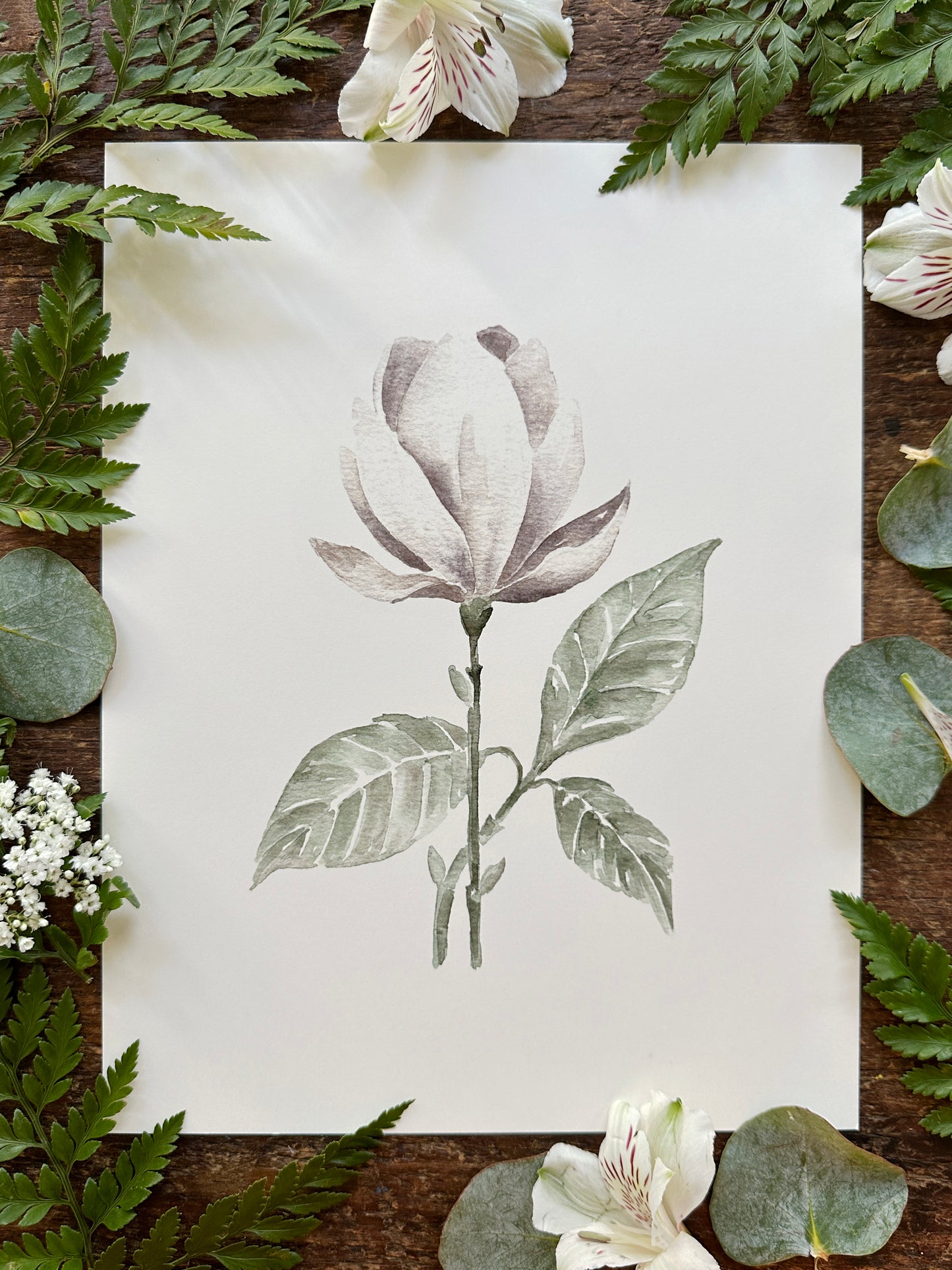 Magnolia  Print