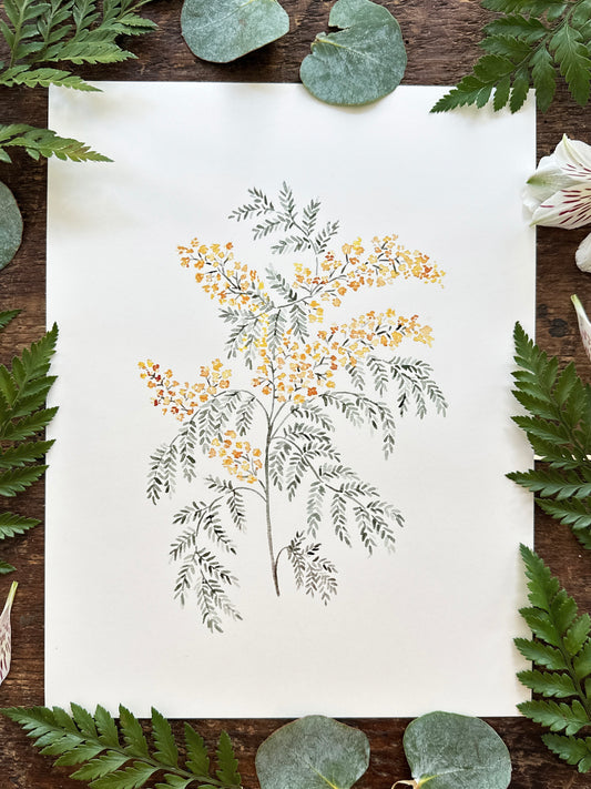 Yellow Mimosa Print