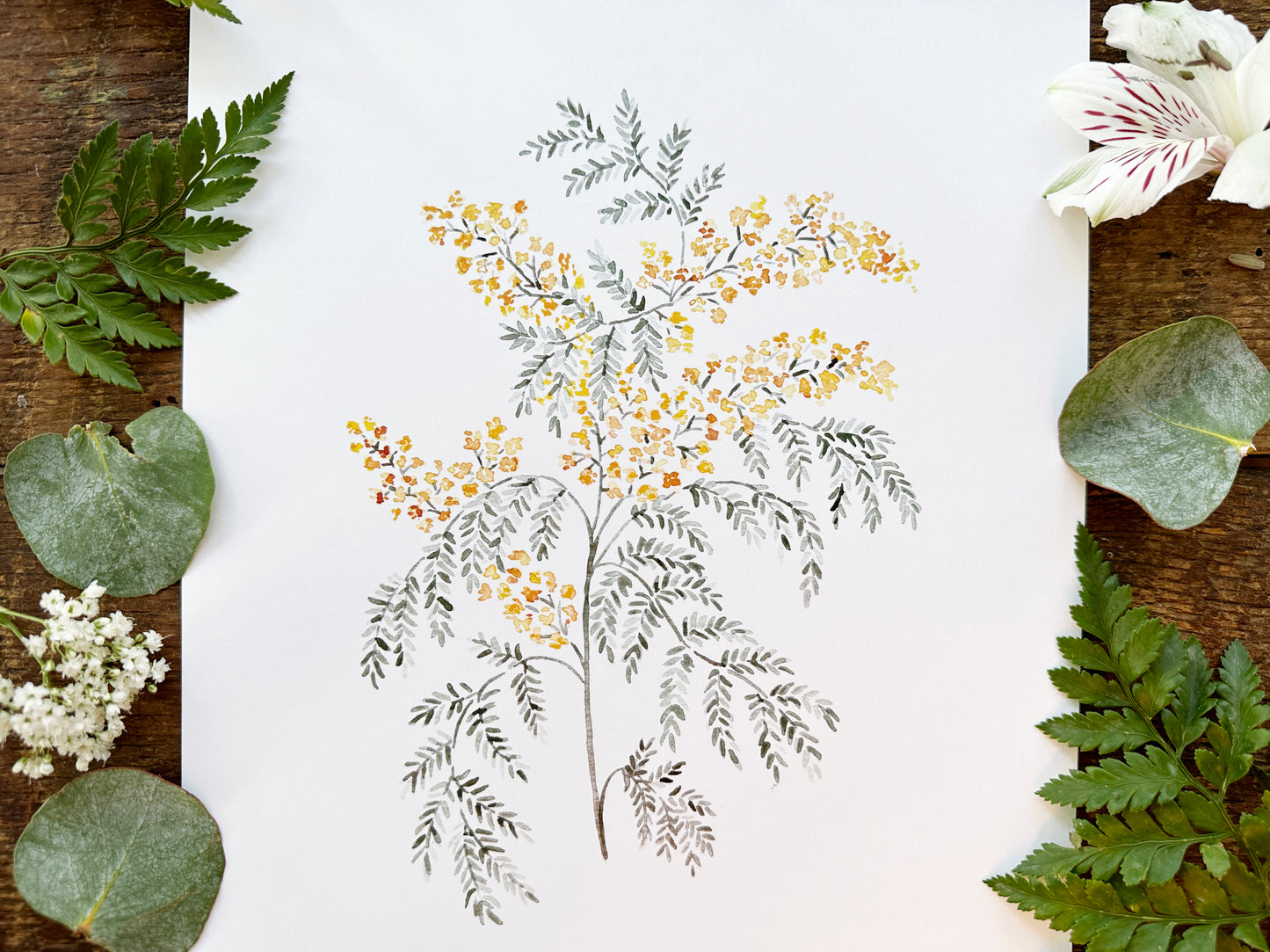 Yellow Mimosa Print