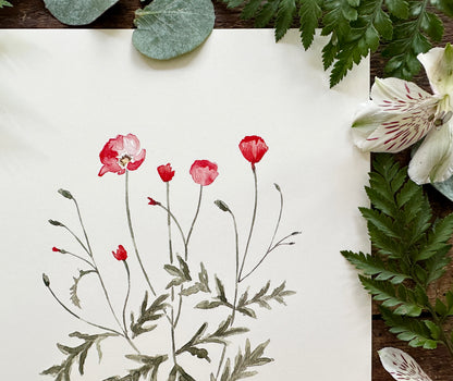 Poppies Print