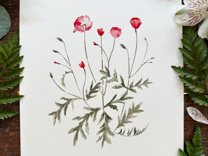 Poppies Print