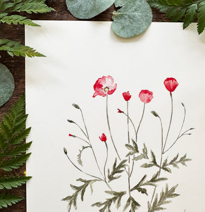 Poppies Print