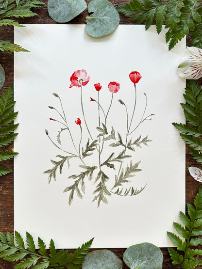 Poppies Print